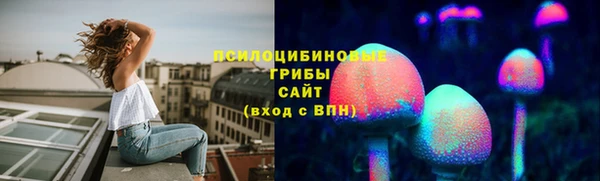 прущие грибы Аркадак