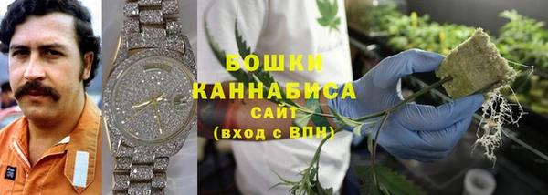 крисы Куйбышев