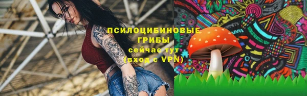 apvp Балахна