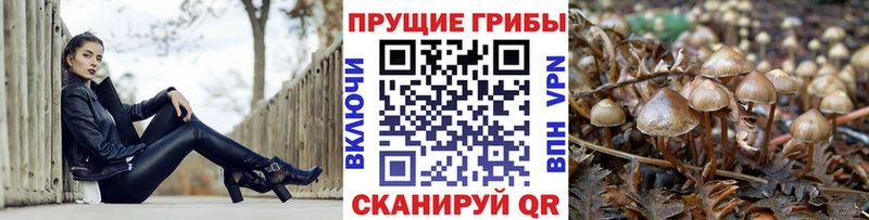 Галлюциногенные грибы ЛСД  blacksprut ссылка  Кизляр  магазин продажи  